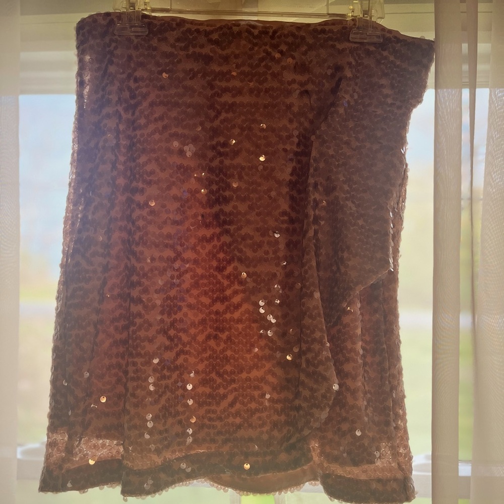 Rachel Zoe Sequin Skirt